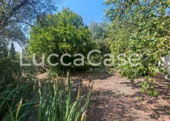 Villa Montecarlo - foto 74