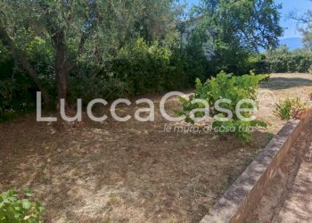 Villa Montecarlo - foto 78