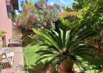 Villa Bifamiliare Vigolzone - foto 9