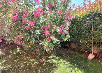 Villa Bifamiliare Vigolzone - foto 10