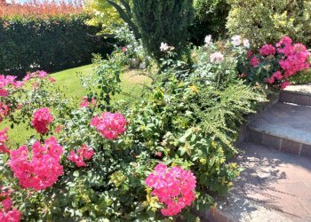 Villa Bifamiliare Vigolzone - foto 28