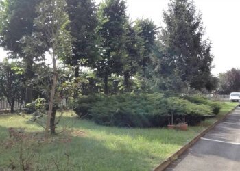 Terreno - Box via Massimo Portalupi, 6, Collegno - foto 6