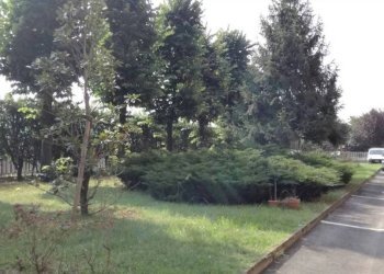 Terreno - Three-room apartment via Massimo Portalupi 6., Collegno - photo 12