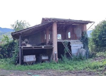 Tettoia - Independent house Caraglio - photo 10