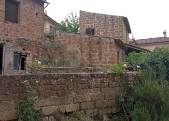 Monolocale -, Vetralla - foto 7