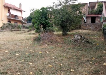 Terreno edificabile -, Vetralla - foto 6