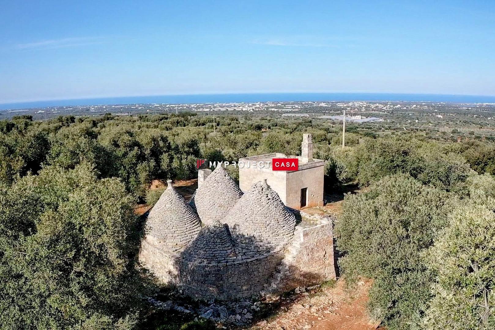 Trullo C.da S. Oronzo, Monopoli - foto 1