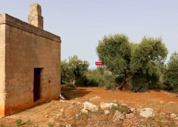 Trullo C.da S. Oronzo, Monopoli - foto 12