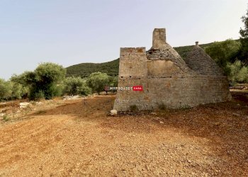 Trullo C.da S. Oronzo, Monopoli - foto 19