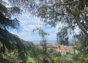 Villa Unifamiliare Albisola Superiore - foto 17