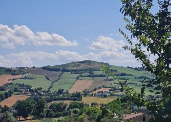 20230727_155154 - Villa Agugliano - foto 16