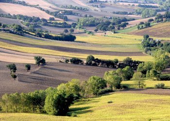 polverigi agugliano ville - Villa Agugliano - foto 18