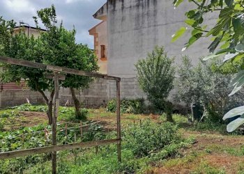 IMG-20240619-WA0005.jpg - Terreno edificabile Via Chieti, Marcianise - foto 5