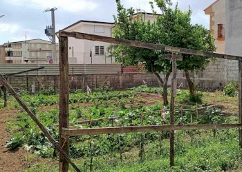 IMG-20240619-WA0006.jpg - Terreno edificabile Via Chieti, Marcianise - foto 6