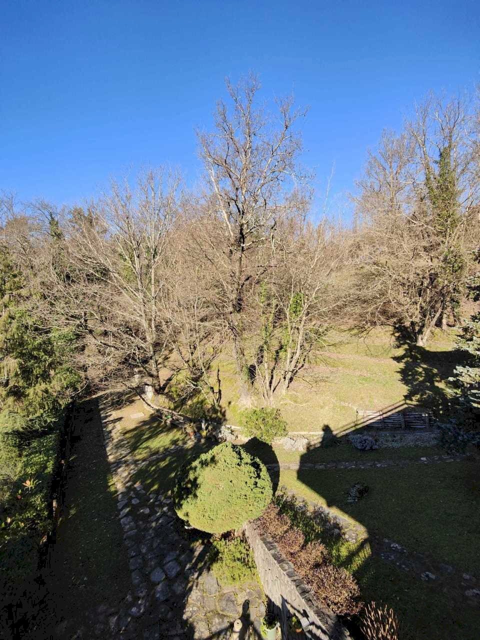 IMG-20240122-WA0016.jpg - Villa Podenzana - photo 3