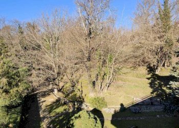 IMG-20240122-WA0016.jpg - Villa Podenzana - foto 3