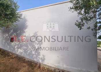 20240619_183028.jpg - Casale Contrada Giancone, Martina Franca - photo 7