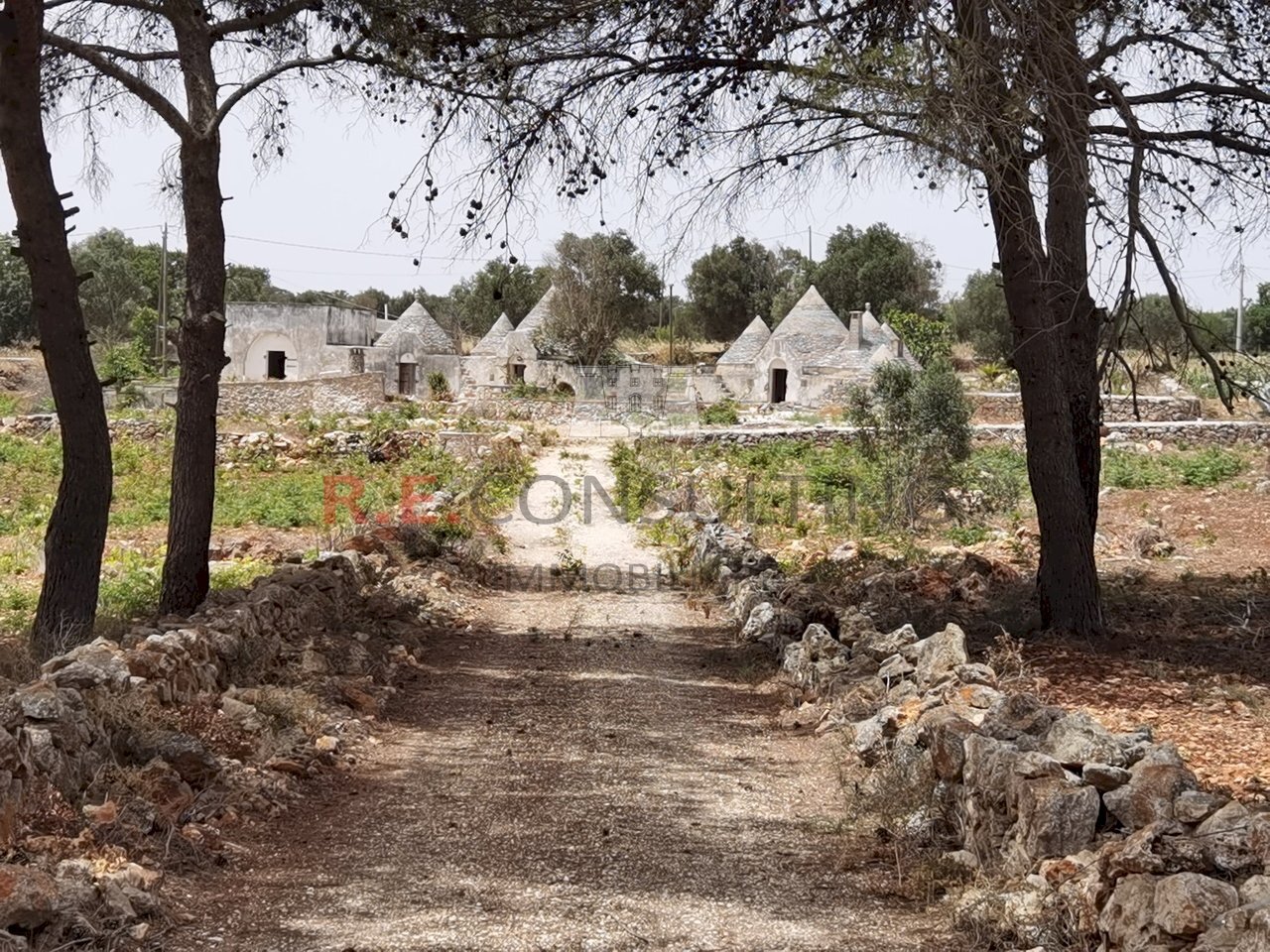 IMG_20240620_123256.jpg - Rustico Strada Provinciale 65 52, Martina Franca - foto 1