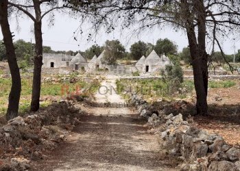 IMG_20240620_123256.jpg - Rustic Strada Provinciale 65 52, Martina Franca - photo 1