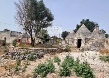 20240620_121947.jpg - Rustic Strada Provinciale 65 52, Martina Franca - photo 2