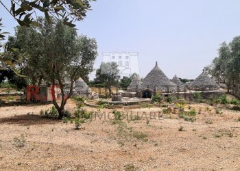 20240620_122100.jpg - Rustic Strada Provinciale 65 52, Martina Franca - photo 6