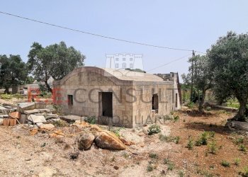 20240620_122128.jpg - Rustic Strada Provinciale 65 52, Martina Franca - photo 7