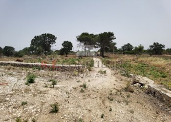 IMG_20240620_122816.jpg - Rustic Strada Provinciale 65 52, Martina Franca - photo 22