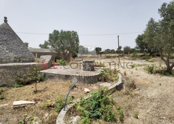 IMG_20240620_122853.jpg - Rustic Strada Provinciale 65 52, Martina Franca - photo 24