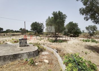 IMG_20240620_122900.jpg - Rustic Strada Provinciale 65 52, Martina Franca - photo 25