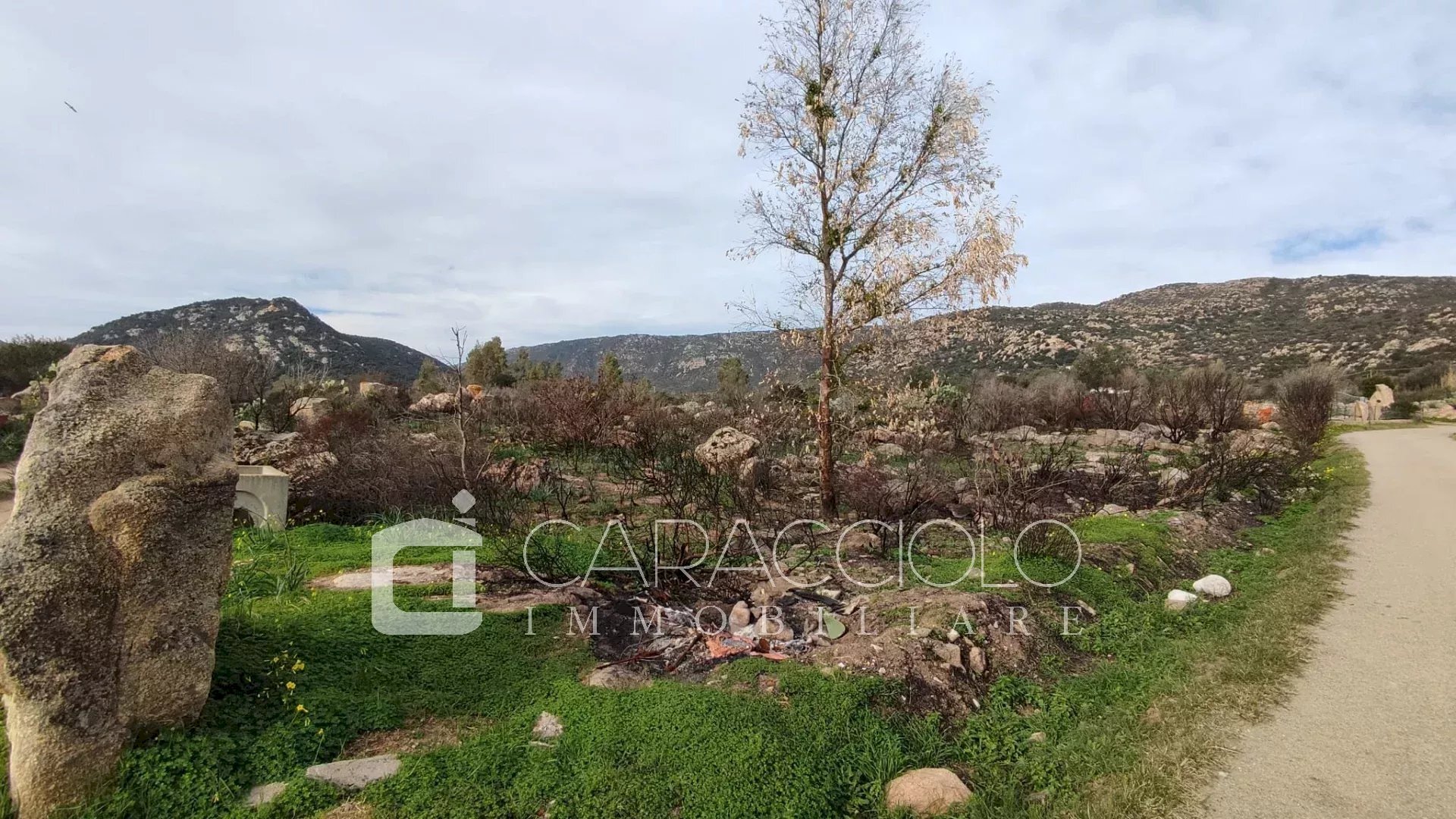 Agricultural land San Teodoro - photo 1