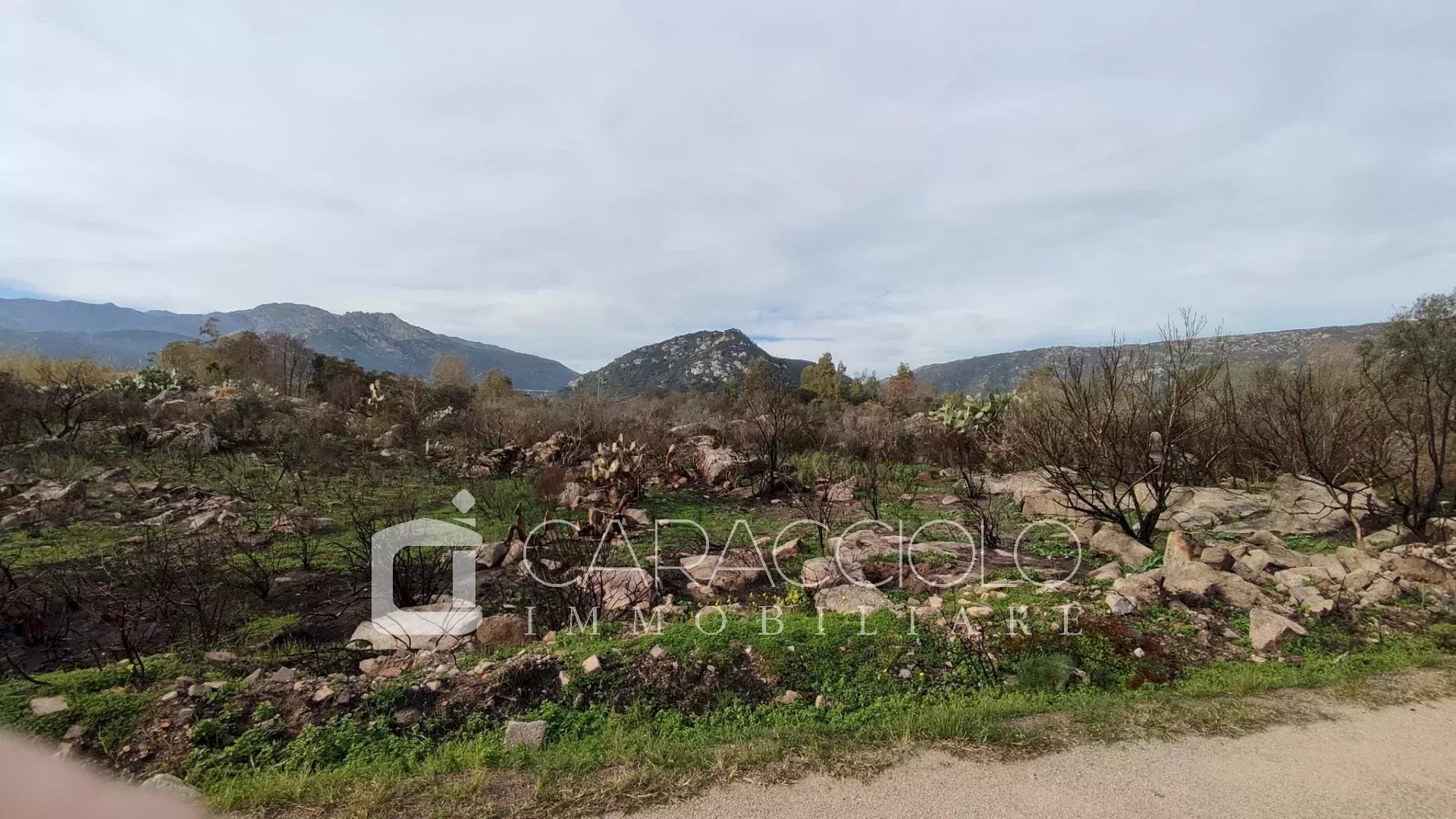 Agricultural land San Teodoro - photo 2