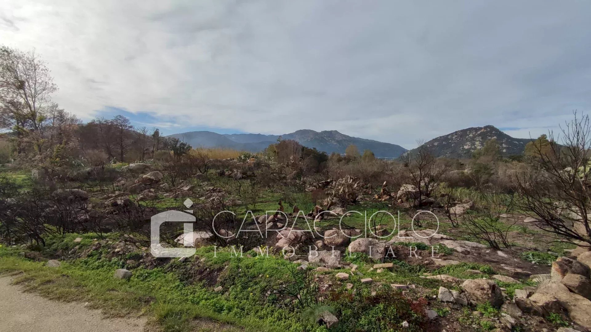 Agricultural land San Teodoro - photo 3