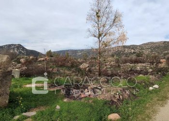 Terreno agricolo San Teodoro - foto 1