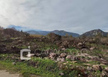 Terreno agricolo San Teodoro - foto 3