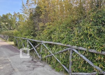 Villa Posada - photo 10