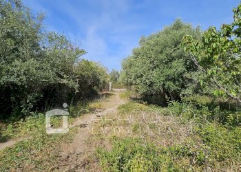 Villa Posada - photo 14