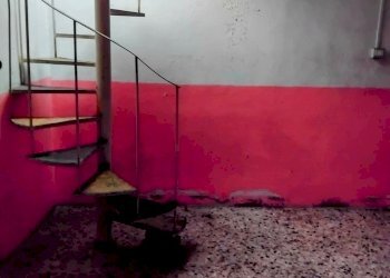 Shop Parma - photo 4