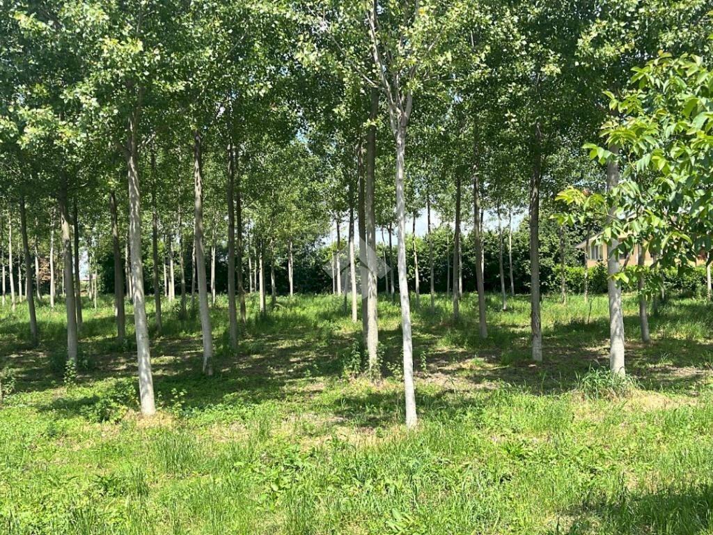 Terreno edificabile Via Folletta, Boffalora Sopra Ticino - foto 1