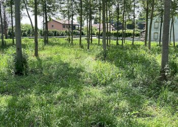 Terreno edificabile Via Folletta, Boffalora Sopra Ticino - foto 7