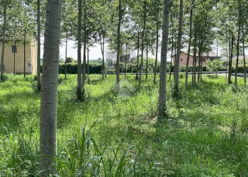 Terreno edificabile Via Folletta, Boffalora Sopra Ticino - foto 9