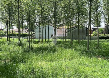 Terreno edificabile Via Folletta, Boffalora Sopra Ticino - foto 10