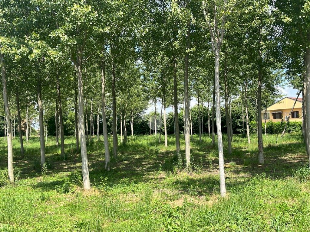 Terreno edificabile Via Folletta, Boffalora Sopra Ticino - foto 2