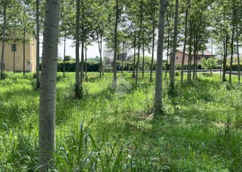 Terreno edificabile Via Folletta, Boffalora Sopra Ticino - foto 5
