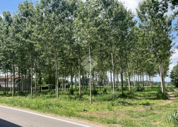 Terreno edificabile Via Folletta, Boffalora Sopra Ticino - foto 7