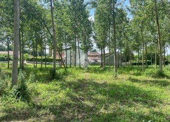 Terreno edificabile Via Folletta, Boffalora Sopra Ticino - foto 10