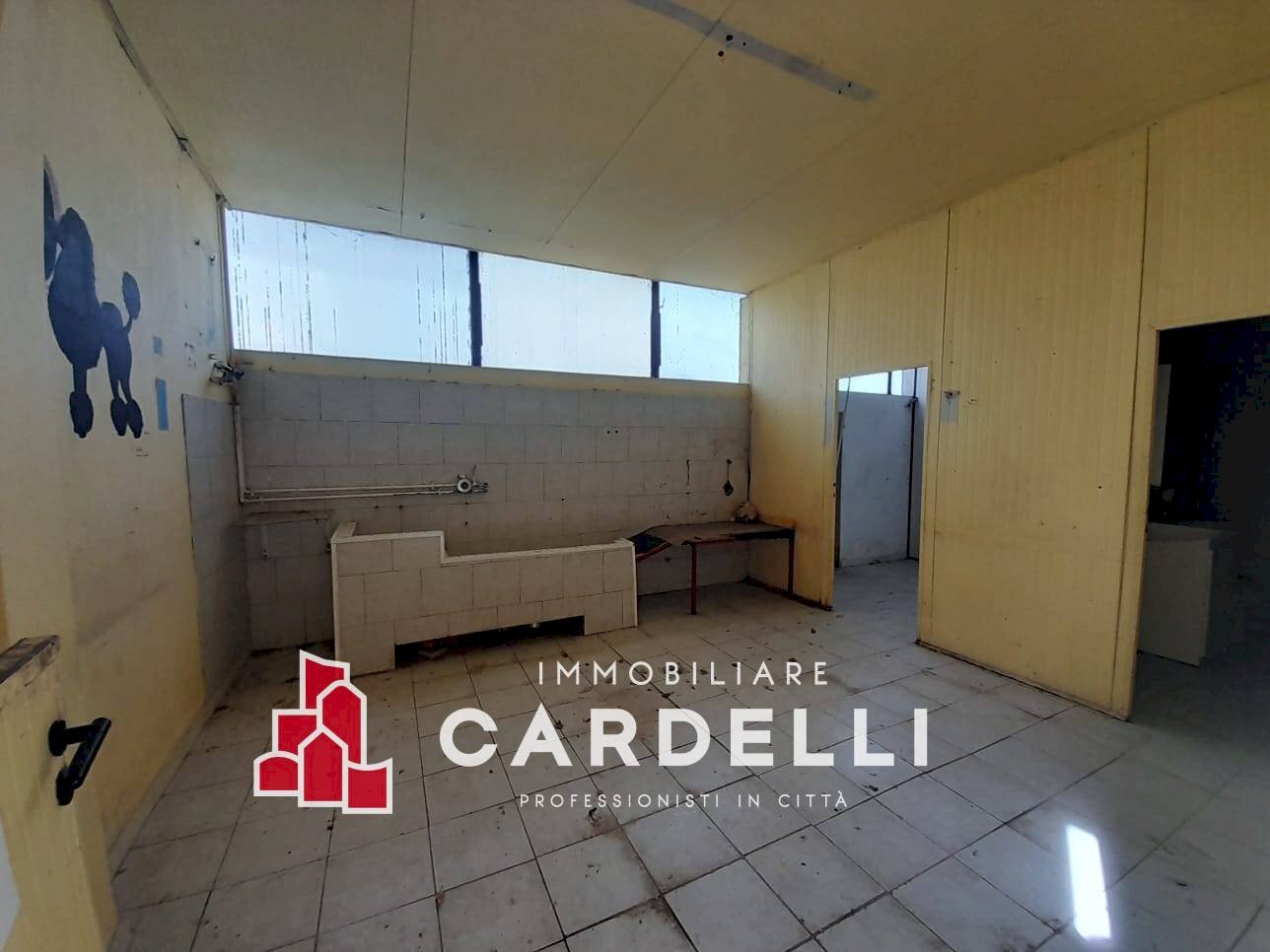 Capannone strada Cretarola, Sant'Elpidio a Mare - foto 2