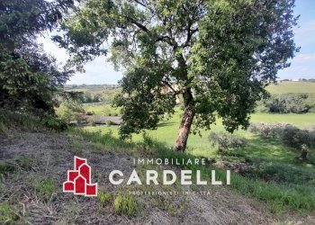 Capannone strada Cretarola, Sant'Elpidio a Mare - foto 6