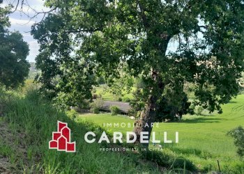 Capannone strada Cretarola, Sant'Elpidio a Mare - foto 8