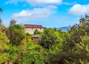 Rustico Via Nazionale, Barberino di Mugello - foto 4