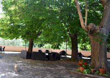 Villa Strada di Piedimonte, Terni - foto 16